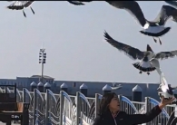 (개인정보 동의…