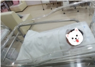 (본인동의) 축…